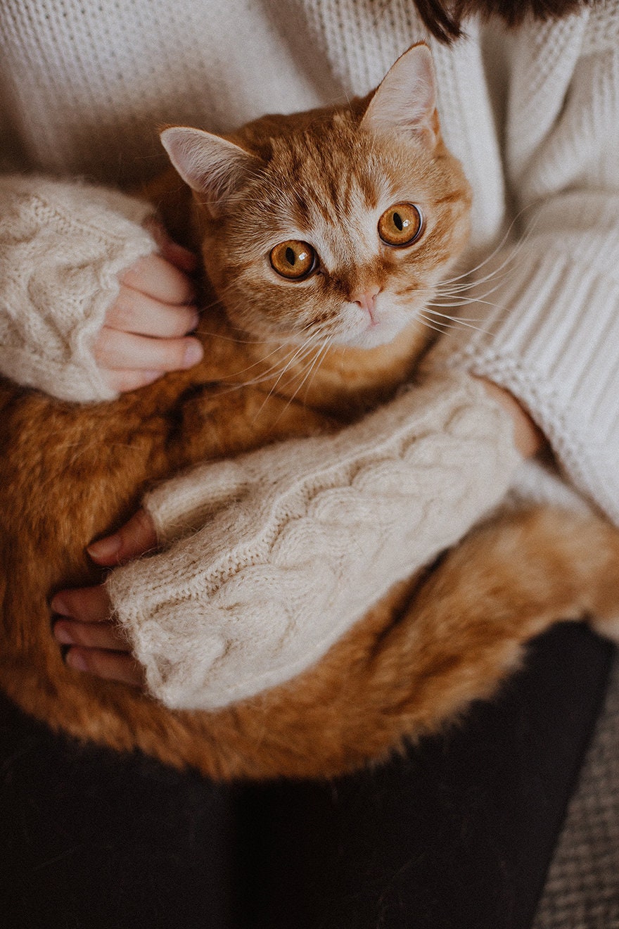 Woman fingerless gloves, white wrist warmer, creamy alpaca mittens, knit hand warmer, upcycle fingerless mittens, woolen winter gloves, gift
